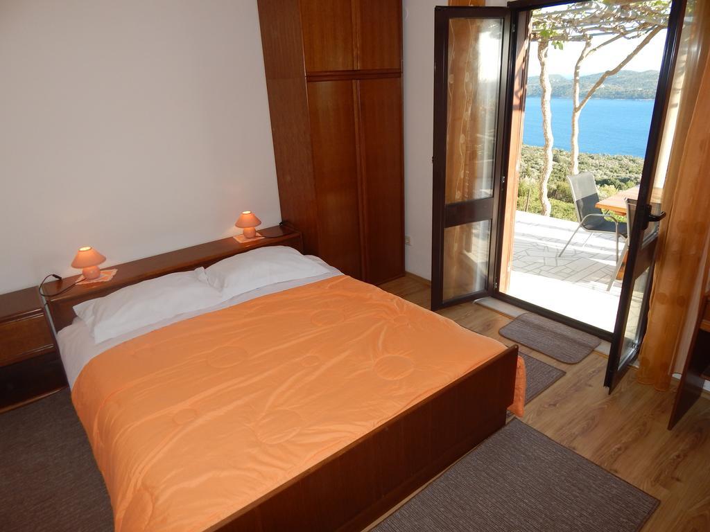 Apartman Druskovic *