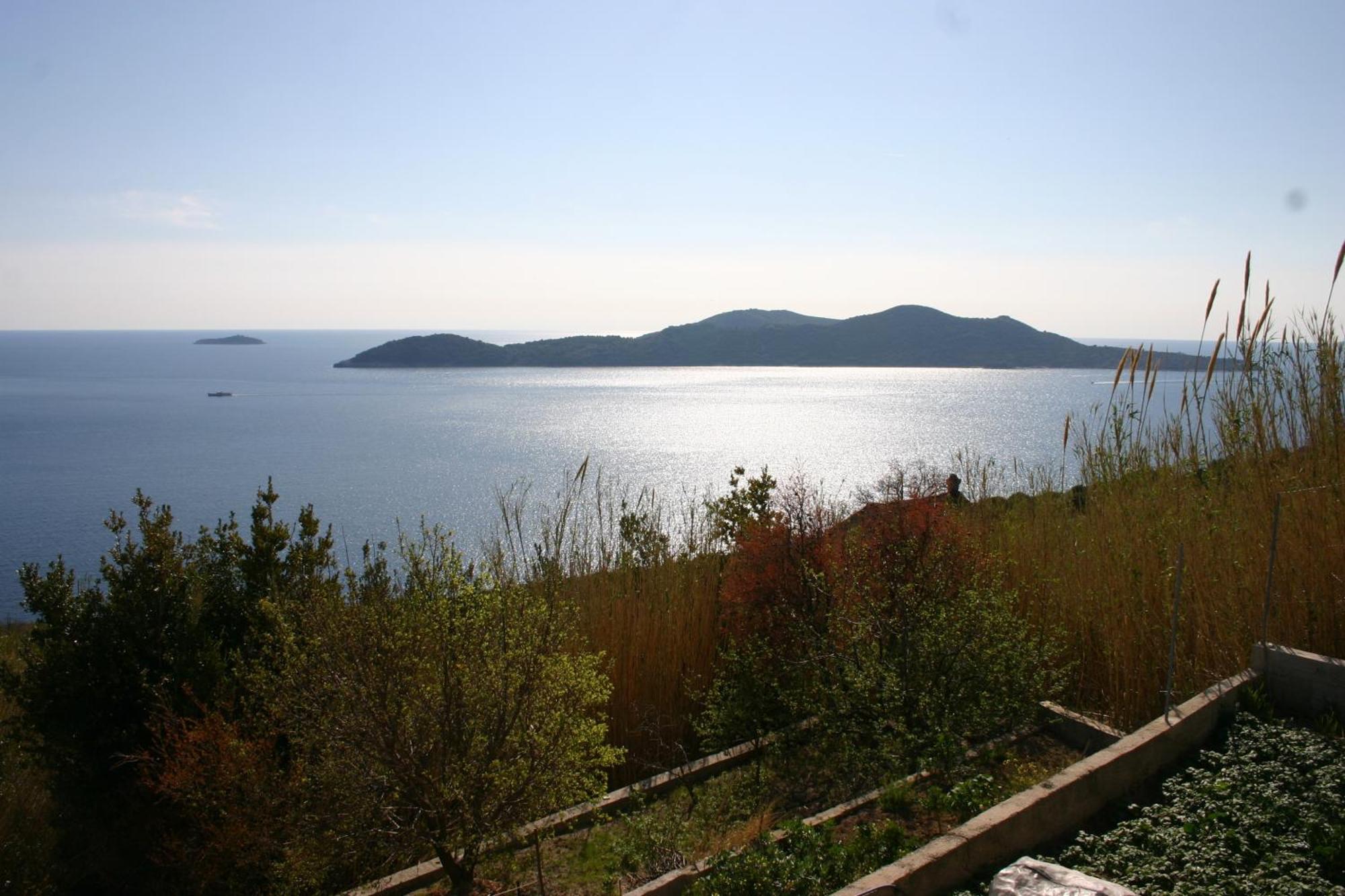 Druskovic * Orasac